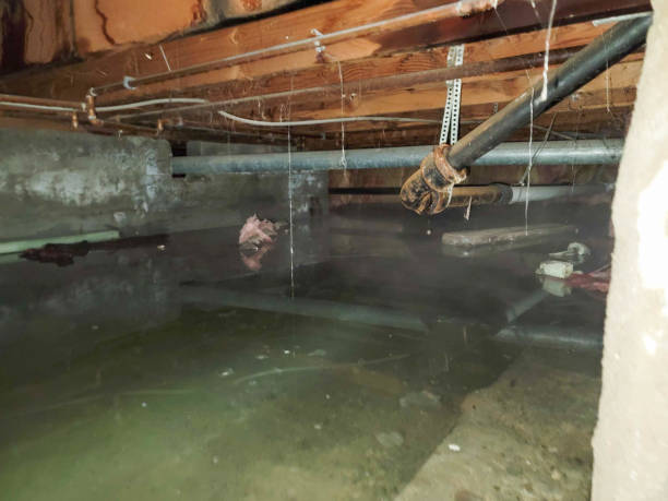 Best 24/7 water damage repair  in East Renton Highlands, WA