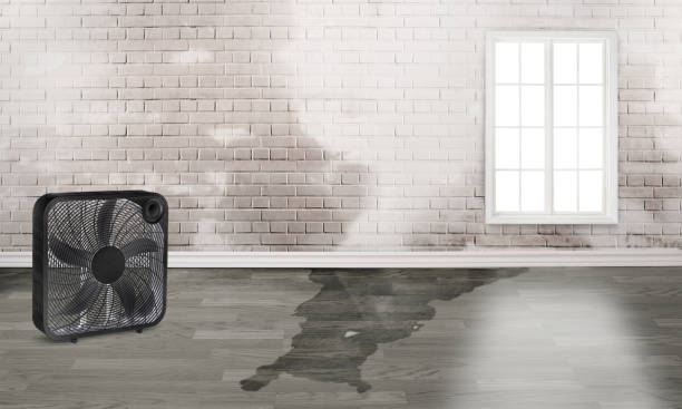Best Emergency water damage restoration  in East Renton Highlands, WA