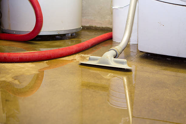 Fire Damage Restoration in East Renton Highlands, WA