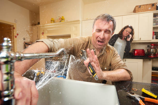 Best Mold removal after water damage  in East Renton Highlands, WA